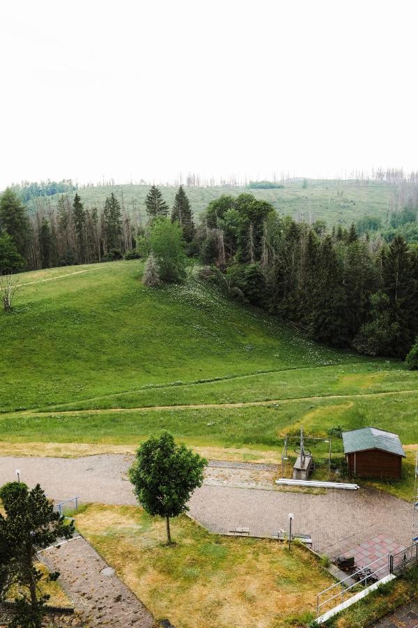 Neu, Superior 252, Oberharz, Mit Schwimmbad Und Sauna