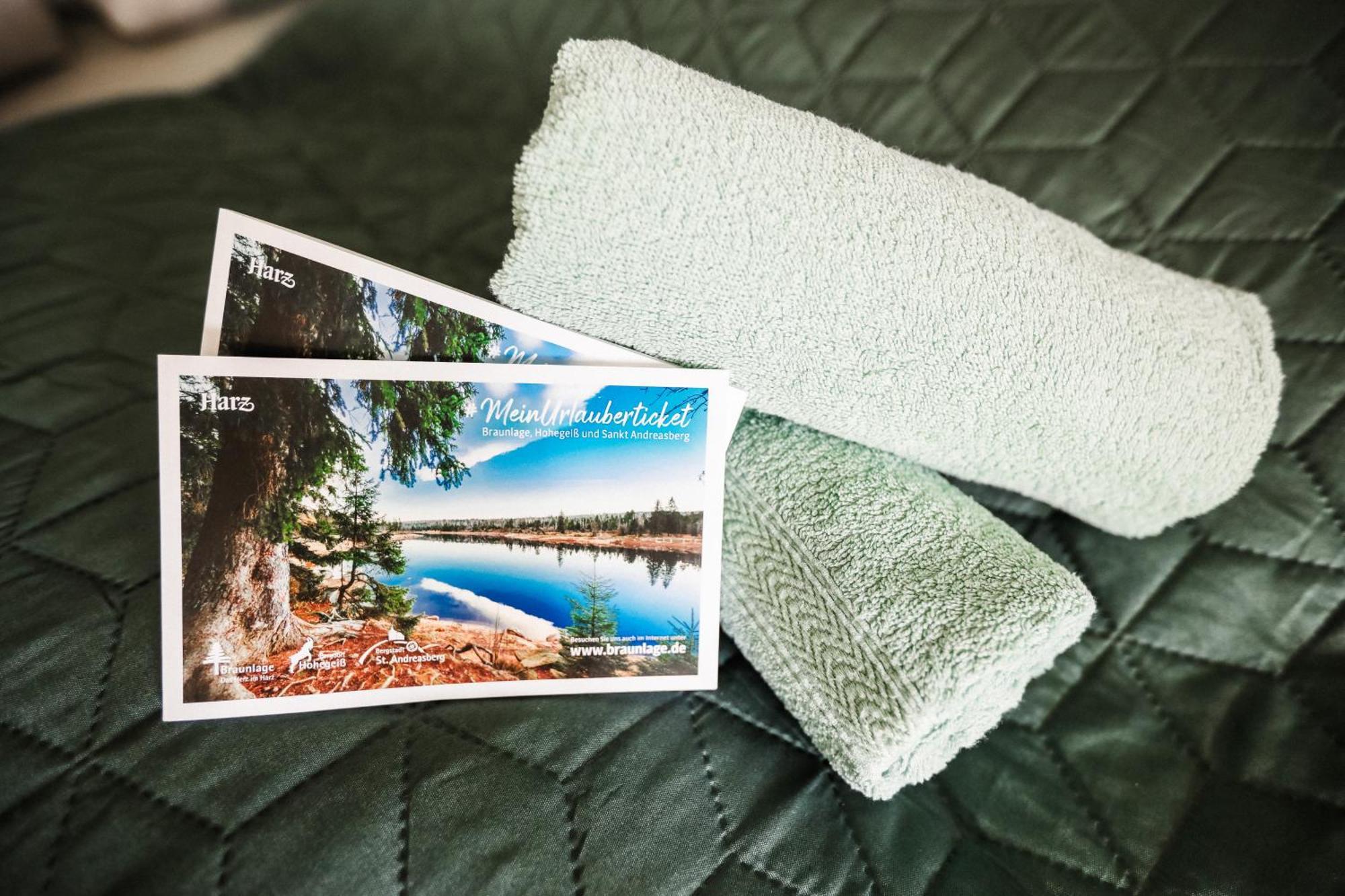 Neu, Superior 252, Oberharz, Mit Schwimmbad Und Sauna Apartment