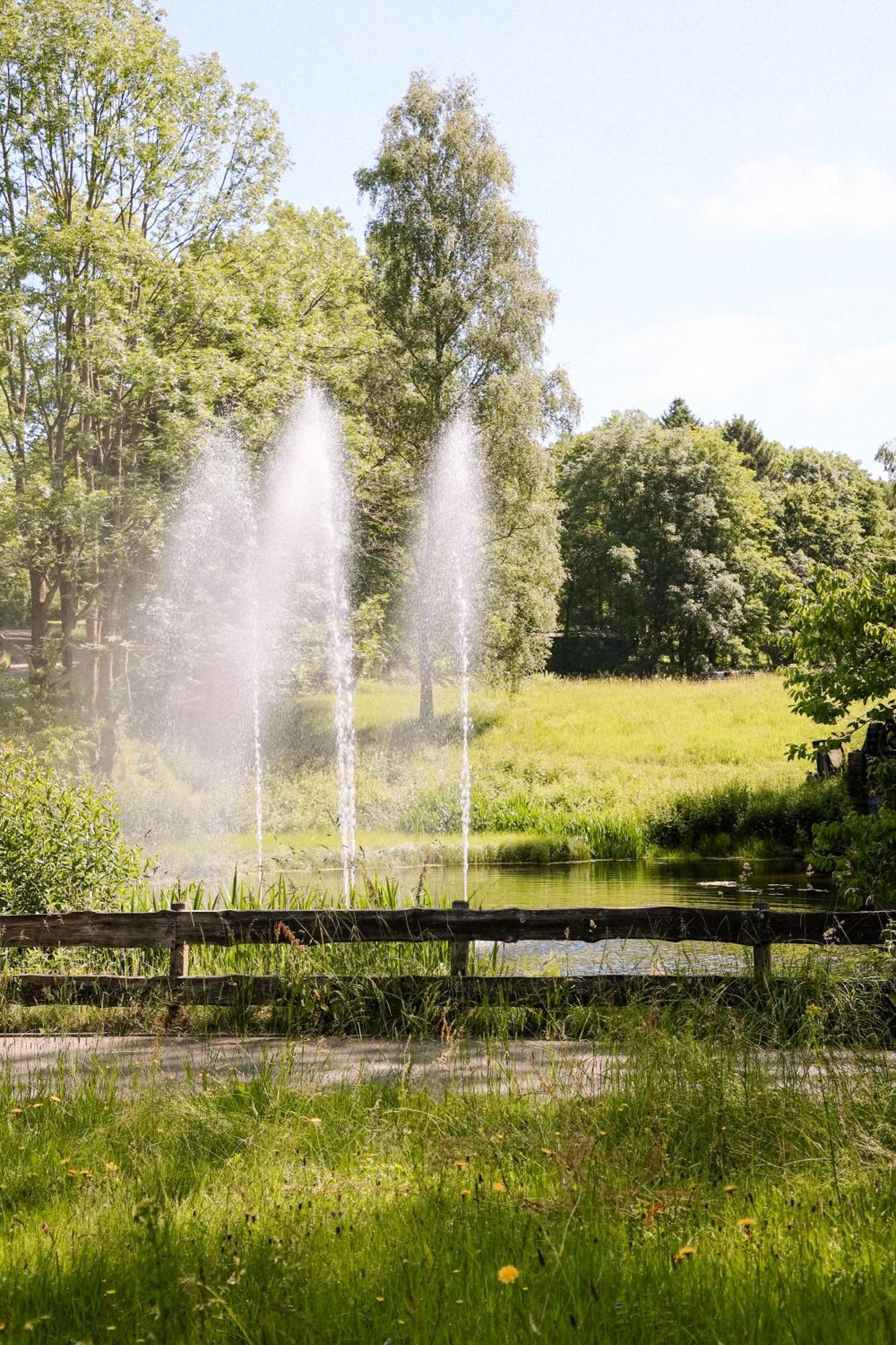 Neu, Superior 252, Oberharz, Mit Schwimmbad Und Sauna Appartement *